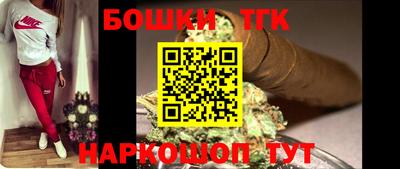 индика Будённовск