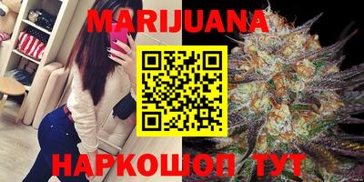 индика Будённовск